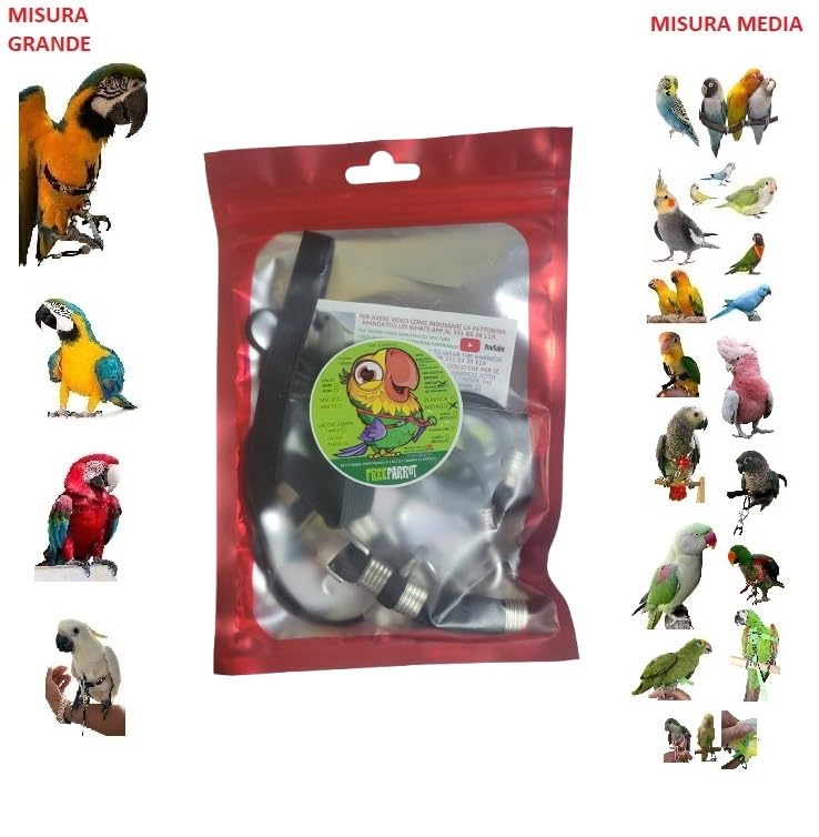 Arnes pechera para loros con correa de 1m contra escapes de aves 2