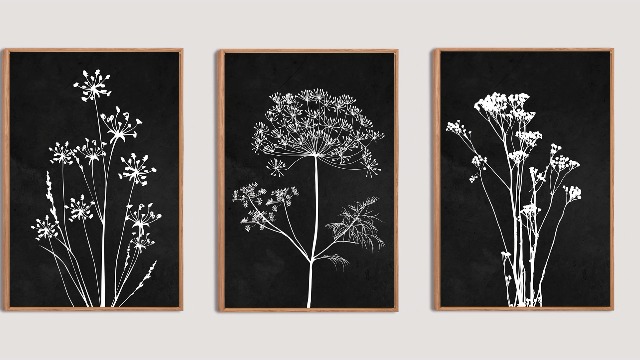Amazon.com: BINCUE Framed Botanical Wall Art Black Grey and White
