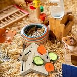 Mouse Rat Enrichment Toys, Rat Foraging Toy, Rat Toys for Pet Rats in Cage, Guinea Pig Treats Feeder, Food Dispenser for Rodents Mouse Syrian Hamster Gerbil Bunny, Puzzle Accessories (S, Wood) - Image 5