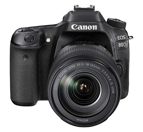 保証付き　Canon EOS80D＋Canon EF28-80㎜ EF28-80mm F3.5-5.6 V USM - キヤノンカメラミュージアム