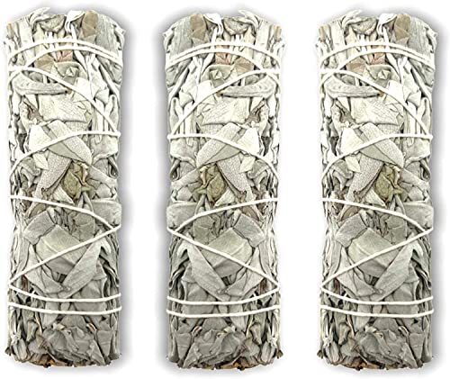 Yerbero - 1 Premium 4\'\' White Sage Smudging Sticks | California White Sage | Salvia | 1 Hand Tied for Home Spiritual Blessing Positive Energy Harmony & Meditation. (White Sage) - Thumbnail 2
