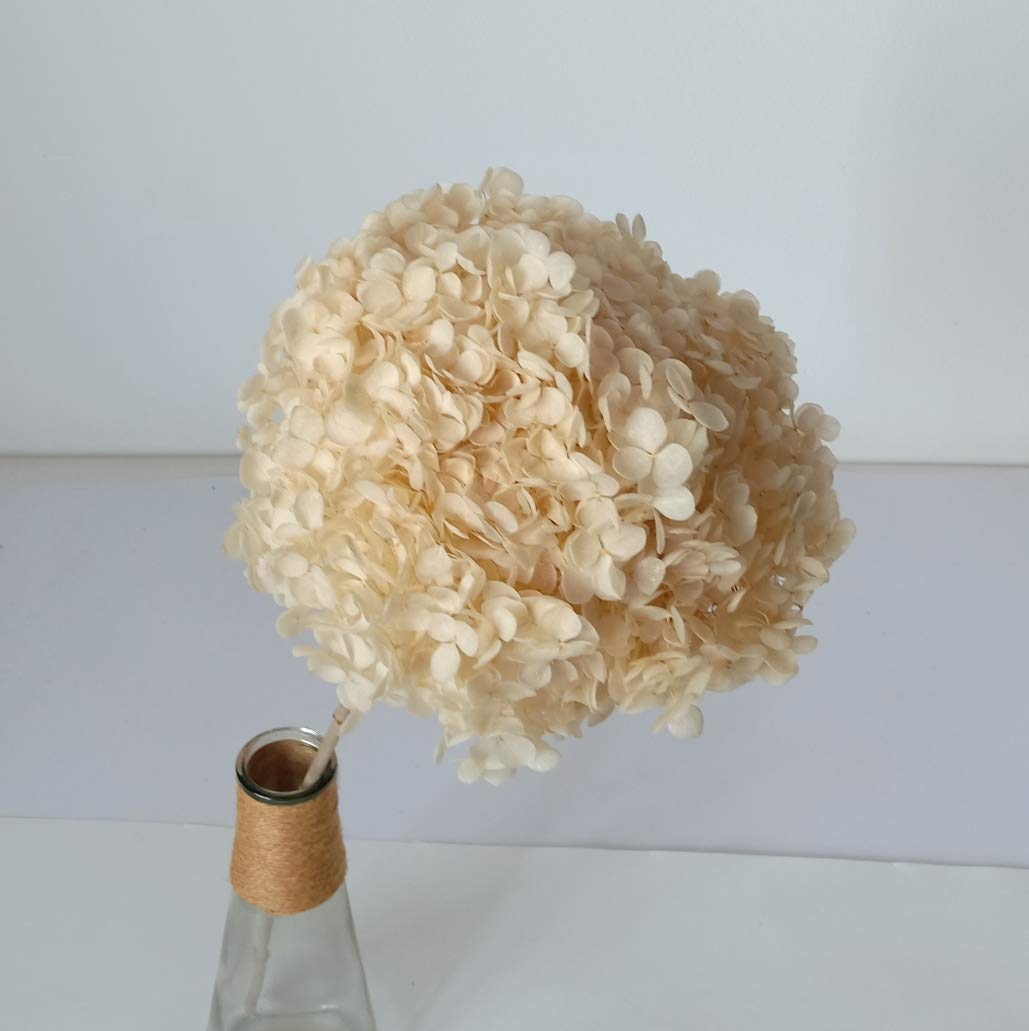 Natural Preserved Flower Arrangement, Hydrangea Floral with Stem for Spring Decoration Wedding Centerpiece Home Decor, White
