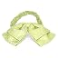 Apple Green Darlene Paisley