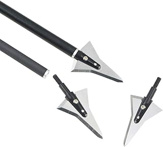 ZSHJG Archery 2 Blade Fixed Broadheads Screw in Arrowheads 125 Grain Broadheads Arrow Target Point for Recurve Compound Bow Hunting Arrows 6/12pcs (12pcs)