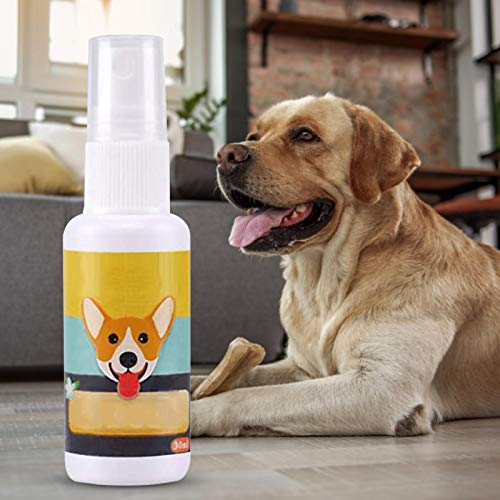 CargoTi Trem de para cães, perfume atraente ajuda a treinar filhotes e cães onde usar o penico portá