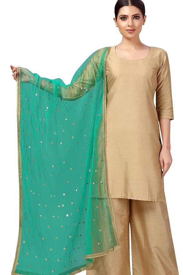 !pts! Women's Net sequence Embroidered Full Size Dupatta4