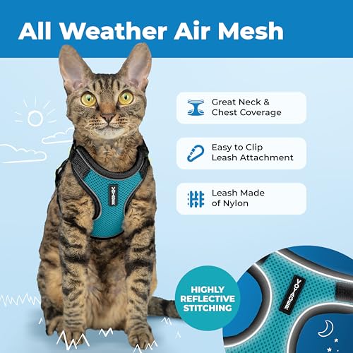 Image of Voyager Escape-Proof Step-in Lock Cat Harness & 5ft Neoprene-Handle Leash Set All-Weather Mesh with Reflective Stitching for Small to Large Cats by Best Pet Supplies, Black Trim-Turquoise (327), S
