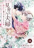 comic Berry’s見習い夫婦～エリート御曹司に娶られました～11巻 (Berry's COMICS)