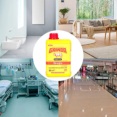 Image of GAINDA Black Disinfectant Phenyl Liquid Streak-free Surface Floor Cleaner for Hospitals, Homes, Offices & Commercial Use Ready to Use Solution Removes Dirt, Grime & Germs, 1000 ml