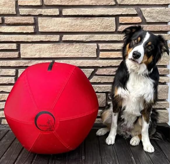 Herding Ball for Dogs 18 Inflatable Anti-Burst Dog Herding Ball for Australian Shepherds Corgis Collies and Cattle Dogs