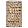 Vivifying Jute Rope, 50 Feet 8mm Na...