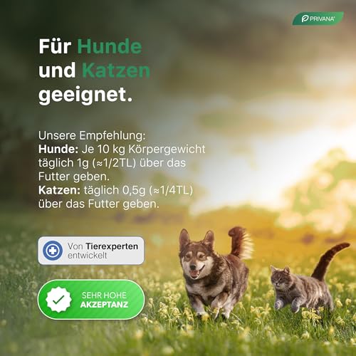 Privana Reines MSM-Pulver für Hunde, Katzen & Pferde (500g) –organisches Schwefel-Pulver für Gelenke, Knochen, Sehnen–Ergänzungsfuttermittel für Tiere