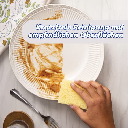 Scrub Daddy SPDDY4 SPMVP Scheuerschwämme, doppelseitig, 4 Stück, Sortiert