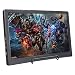 SunFounder Raspberry Pi Display 13.3 Inch IPS Portable 2 HDMI Monitor 1920x1080 Gaming Monitor for Ps4 Raspberry Pi WiiU Xbox 360 Windows 7/8/10