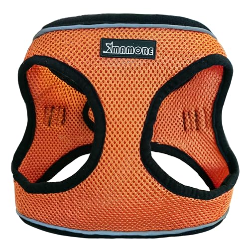 MAMORE  bVn[lX L̓ ʋC Ȃ \tg ^ ^ ` Č  Ȃ (S, IWOrange)