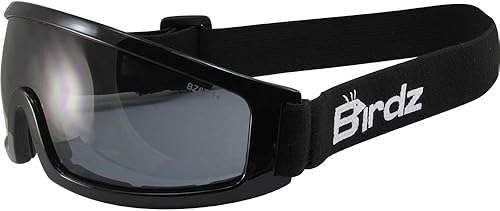 Miniatura 3 de Birdz Robin Sport Skydiving Snowboarding - Gafas de seguridad para montar en motocicleta, espejo azul y lentes ahumados, 2 pares