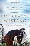 Last Chance Mustang: The Story of One Horse, One Horseman, and One Final Shot at Redemption