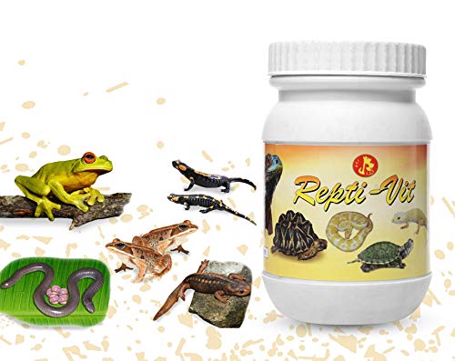 Image of Pet Care International (PCI) Repti-VIT || Provide Essential Vitamin & Nutrients || Healthy Reptile and Amphibians Healthcare (100 Grm, Repti VIT)