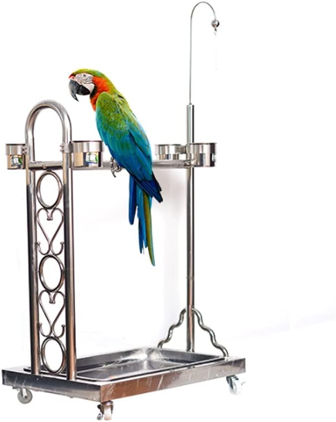 Bird Cage Stainless Steel Parrot Rack Bird Supplies Telescopic Parrot Rack Suitable for Large and Medium-Sized Birds Macaw Canary Love Bird Pet Supplies (OneColor L)