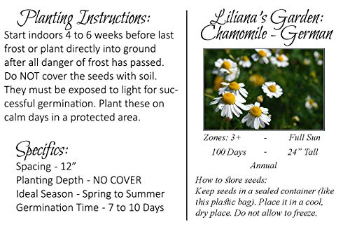 Herb Seeds - German Chamomile - Medicinal, Flowering, And Edible - Liliana's Garden #TOP2