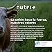 Imagen de Nutri+ 6k Protein Powder Set