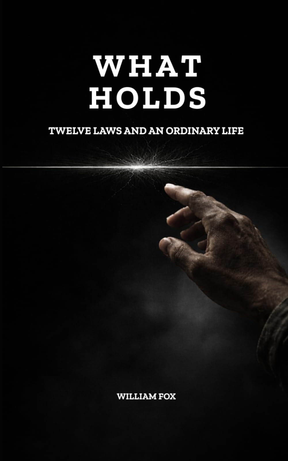 WHAT HOLDS: TWELVE LAWS AND AN ORDINARY LIFE
