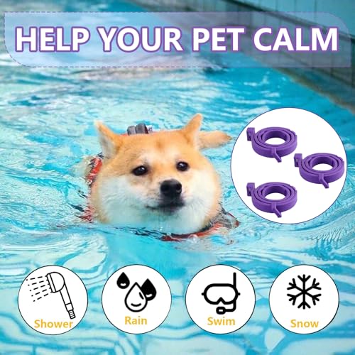 3 Pack Beruhigungshalsband für Hunde, Beruhigendes Pheromonen Halsband Verstellbares Beruhigende Halsbänder Lindert Angst Bei Anti Stress Lindern Sicher Wasserdicht für Kleine Mittelgroße Große Hund