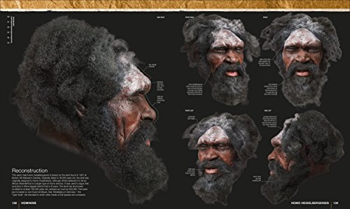 Image of Evolution: The Human Story, 2nd Edition