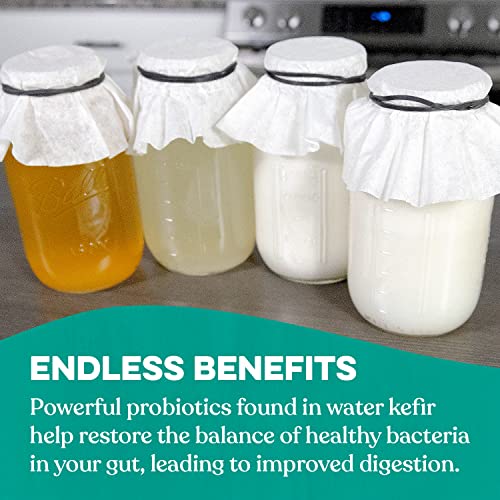 Image of Cultures for Health Kefir Starter Culture | 4 Packets Freeze Dried Starter Powder | Make Kefir with Milk, Water, or Juice | Re-Culture Kefir Probiotic Drinks 2-7x Each | Cultures in Less Than a Day