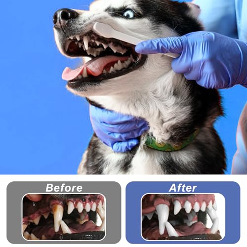 Image of oruola 8Pcs Kitten Toothbrush,2 Styles Soft Hair Small Dog Toothbrush,Dental Hygiene Pet Toothbrush to Clean Pet Teeth,Reduce Tartar Formation & Bad Breath for Small to Large Dogs,Cats,and Most Pets