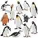 Toymany 12PCS Realistic Penguin Figurines, Plastic...