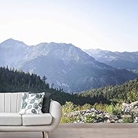 Wall Mural Forest in Fog Removable Self-Adhesive Wallpaper Wall Decoration for Bedroom Living Room - 66x96 inches