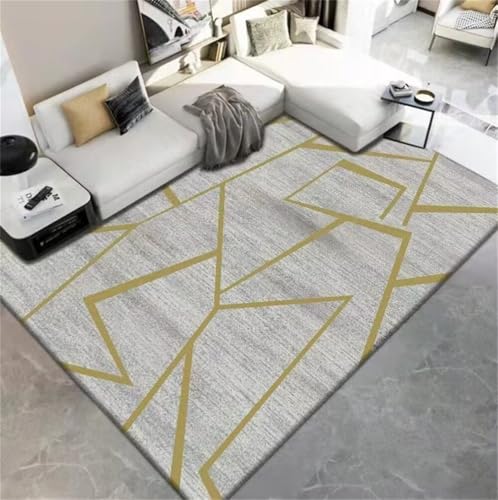 Tapis de sol salon gris 180x250cm lavable en machine pour chambre