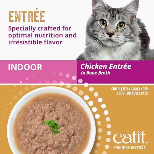 Catit Recipes Indoor Chicken Entrée – High-Protein Wet Cat Food with L-Carnitine, Bone Broth for Hydration, Omega-3 for Skin & Coat, and Prebiotics & Postbiotics for Gut Health 3oz (24/cs) - Image 4