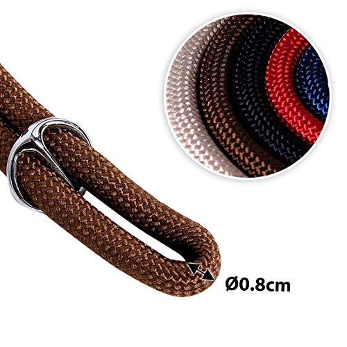 lionto Hundehalsband Retrieverhalsband Dressurhalsband, Länge 35 cm braun