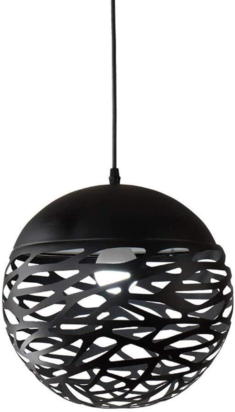 Lámparas de Techo pequeñas con diseño hueco negro y luz LED eficiente 8