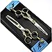 Produktbild 6-Zoll-Professionelle Friseur Friseurschere Schwarzblech Drachen Japan 440C Friseurschneideschere + Effilierschere Licht und Sharp (2ST),dental Shear