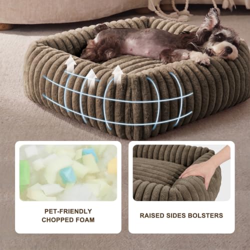 Image of FURTIME Medium Dog Beds for Medium Dogs Washable, Orthopedic Dog Bed, Rectangle Warming Soft Calming Sleeping Puppy Bed Durable Pet Bed with Anti-Slip Bottom, Coffee, M Plus (30 inchx24 inchx8 inch)