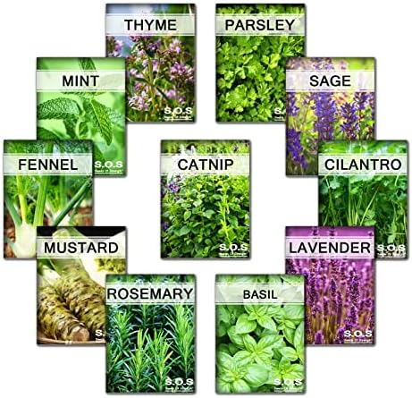 GARDENLOON 3175++ Seeds Super Herb Bulk 11 Varieties Peppermint, Rosemary, Lavender, Thyme (11 Varieties)