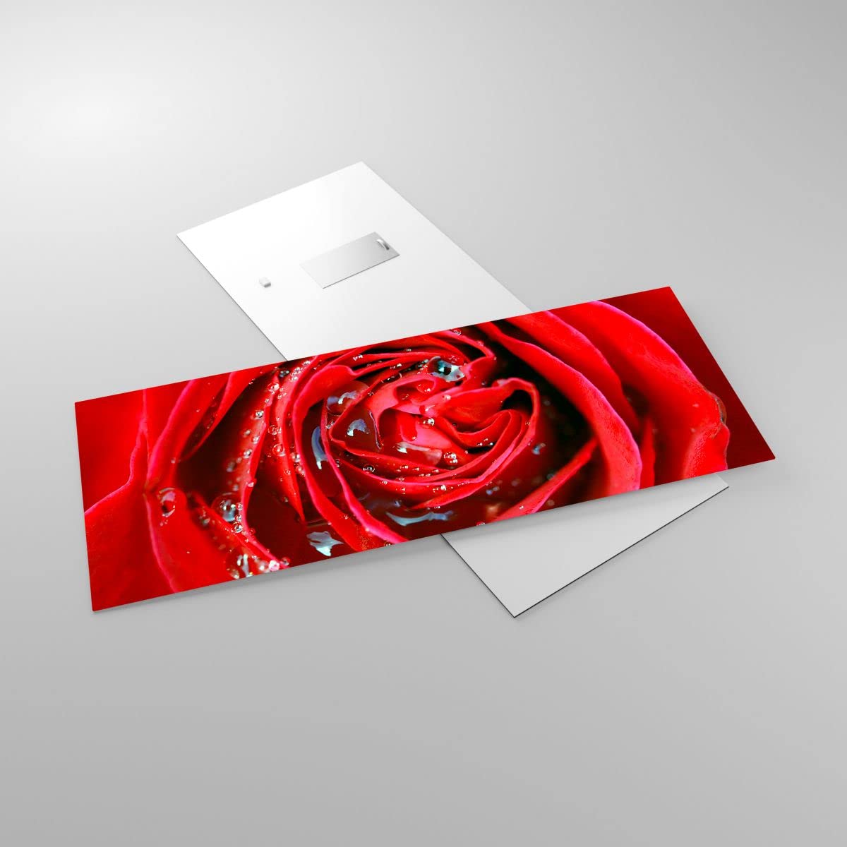 Impression sur Verre 100x40cm Tableaux Image Photo Rose fleur