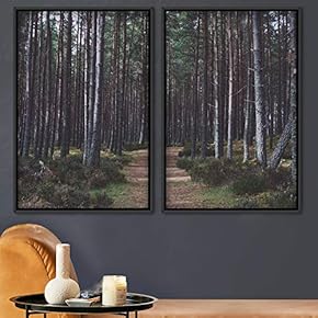 signwin 2 Piece Framed Canvas Wall Art Brown...