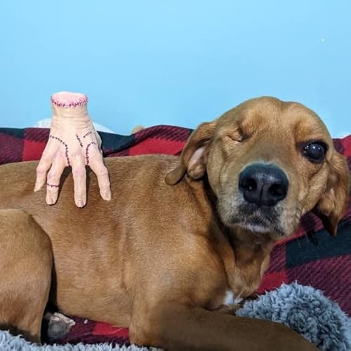 Cafele Wednesday Thing Hand Addams Family Decorations,Action Figure Hand Gothic Addams Family Figurine Latex Hand Model Funny Cosplay Photo Props,Scary Props Decorations (Thing Hand) #TOP4