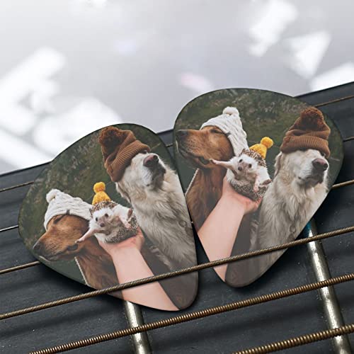 Pack de 12 médiators pour guitare hérisson et chien pour guitare électrique guitare acoustique diverses guitares - Les Beatles, Paul McCartney, John Lennon, RIngo Starr, George Harrison Pack de 12 médiators pour guitare hérisson et chien pour guitare électrique guitare acoustique diverses guitares – Image 7