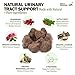 Deley Naturals Dog UTI Chews - Vet-Grade Cranberry Supplement for Dogs with D-Mannose & Echinacea for Bladder & Urinary Tract Health - Urinary Tract Supplements for Small to Large Breeds - 120 Chews