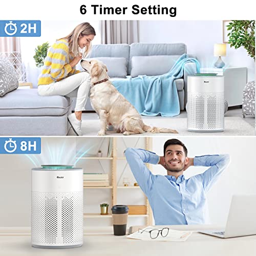 Air Purifiers For Home Large Room, Vewior Air Purifier Up To 1100Ft², H13 True Hepa Air Filter For Pet Pollen Smoke Odor, With Air Quality Monitoring/Sleep And Auto Mode/6 Timer/4 Fan Speed/Child Lock #TOP6