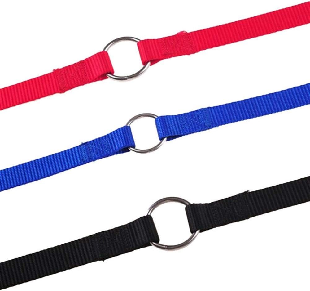 Basic Leashes 2pcs Nylon Dog Leash Double Walking Leashes Couple 2 Way V Shape Collar Lead Leashes for 2 Dogs Puppy Pet Accessories for Pet