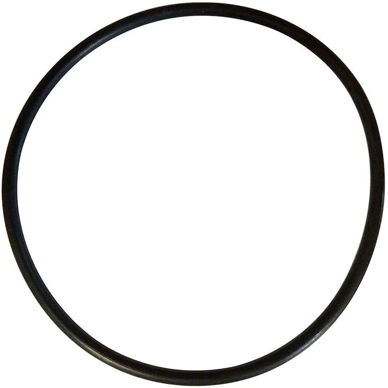 Blue Square Abyss Canister Replacement O Ring 502004