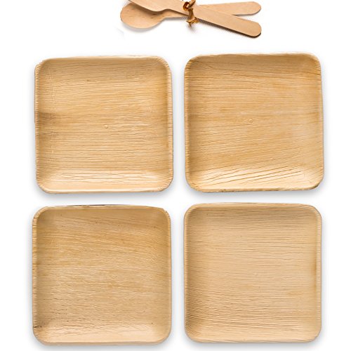 Disposable Areca Palm Dessert Quarter Plate 6" Square(Pack of 25s). 100% Natural, Eco-Friendly, Biodegradable, Naturally Compostable.Best Suited for Birthday party,Wedding,Camping, Catering