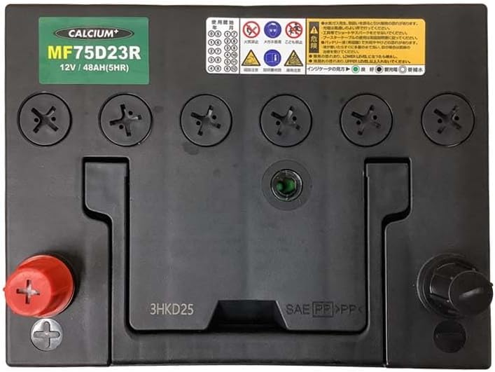 ボクシング　ポスター　ジョムトーン・チューワッタナーvs金子大樹　後楽園ホール ボクシング ポスター ジョムトーン・チューワッタナーvs金子大樹