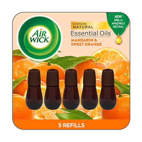 Top 10 Best Oil Diffuser Air Fresheners [Top Picks 2023 Reviews]